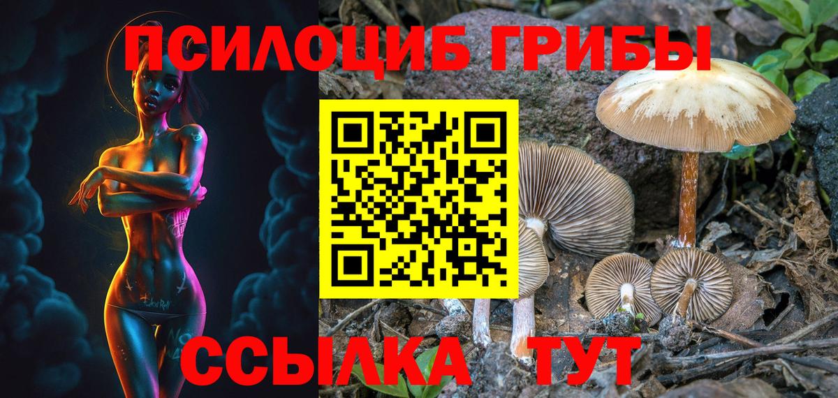 Псилоцибиновые грибы Psilocybine cubensis Еманжелинск