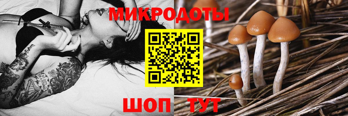 Псилоцибиновые грибы мицелий  Вход с VPN  Еманжелинск  Псилоцибиновые грибы Cubensis 